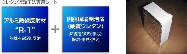 쥿Ǯˡѥ